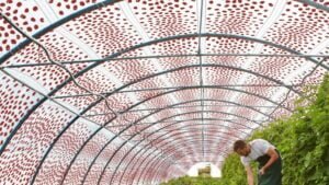 Jury gibt Nominierte für den Bundespreis Ecodesign 2022 bekannt 1 452 1920x1080 1